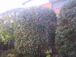 施工例2.jpg
